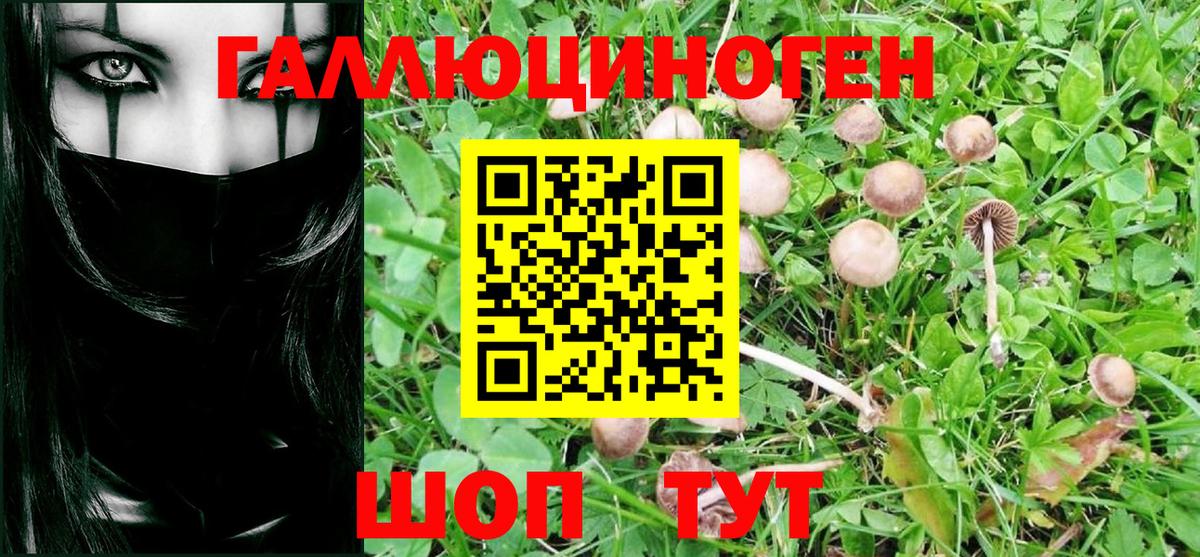 где продают   Псилоцибиновые грибы ЛСД  Вход с VPN  Иваново 